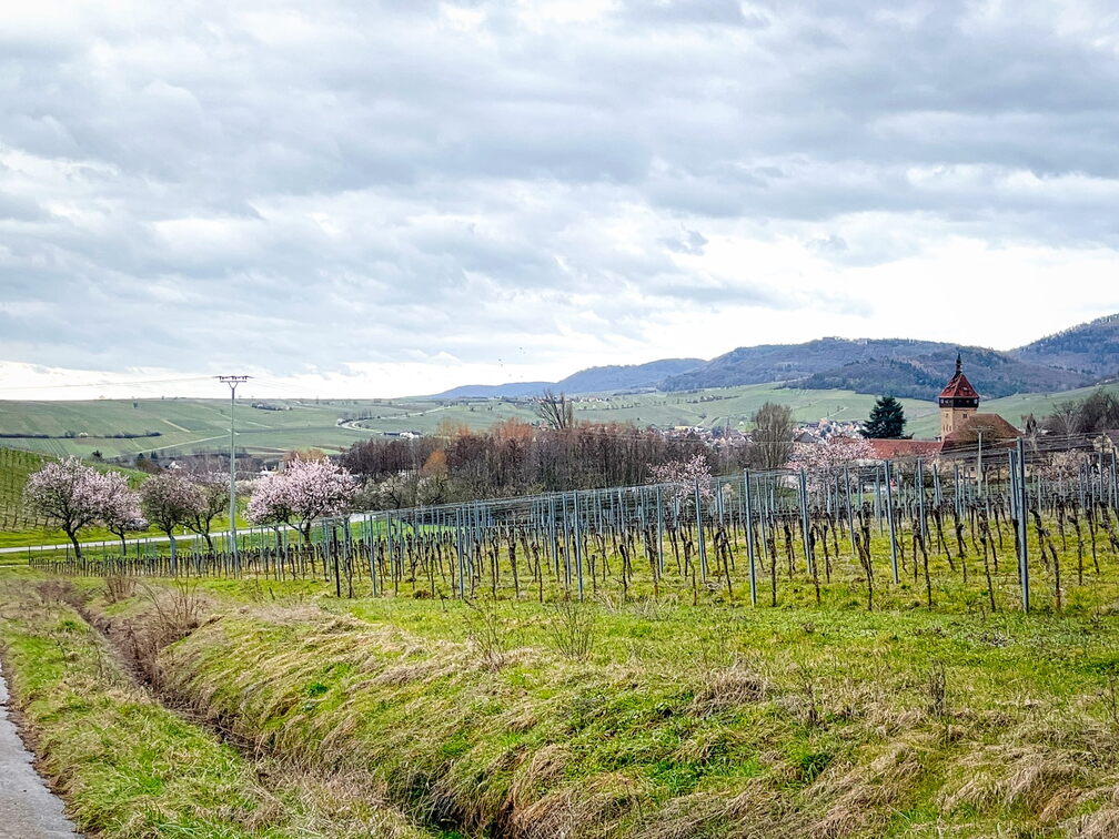 23-03-13 10-47-04 4824